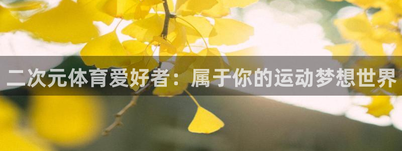 二次元体育爱好者：属于你的运动梦想世界