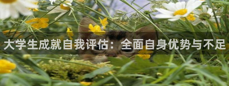 大学生成就自我评估：全面自身优势与不足