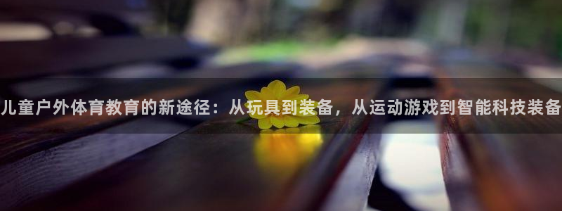 儿童户外体育教育的新途径：从玩具到装备，从运动游戏到智能科技装备