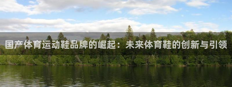 国产体育运动鞋品牌的崛起：未来体育鞋的创新与引领