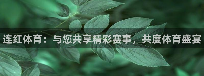 连红体育：与您共享精彩赛事，共度体育盛宴