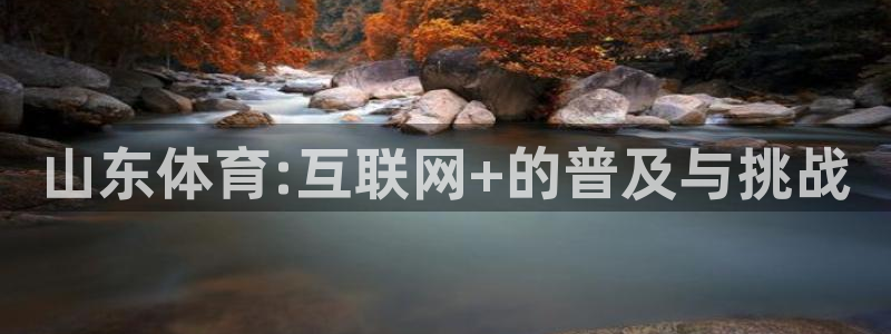 山东体育:互联网+的普及与挑战
