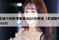 芜湖六校联考安徽2023分数线（芜湖联考2020）